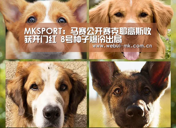 MKSPORT:马赛公开赛克耶高斯收获开门红 8号种子爆冷出局(图2) MK体育官方网站