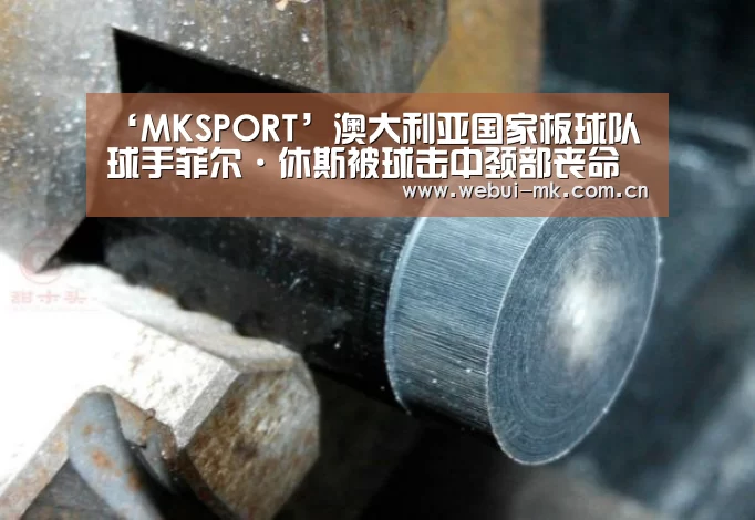 ‘MKSPORT’澳大利亚国家板球队球手菲尔·休斯被球击中颈部丧命(图4) ‘MKSPORT’澳大利亚国家板球队球手菲尔·休斯被球击中颈部丧命(图4)